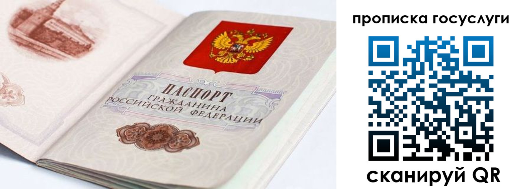 прописка регистрация в Краснокаменске